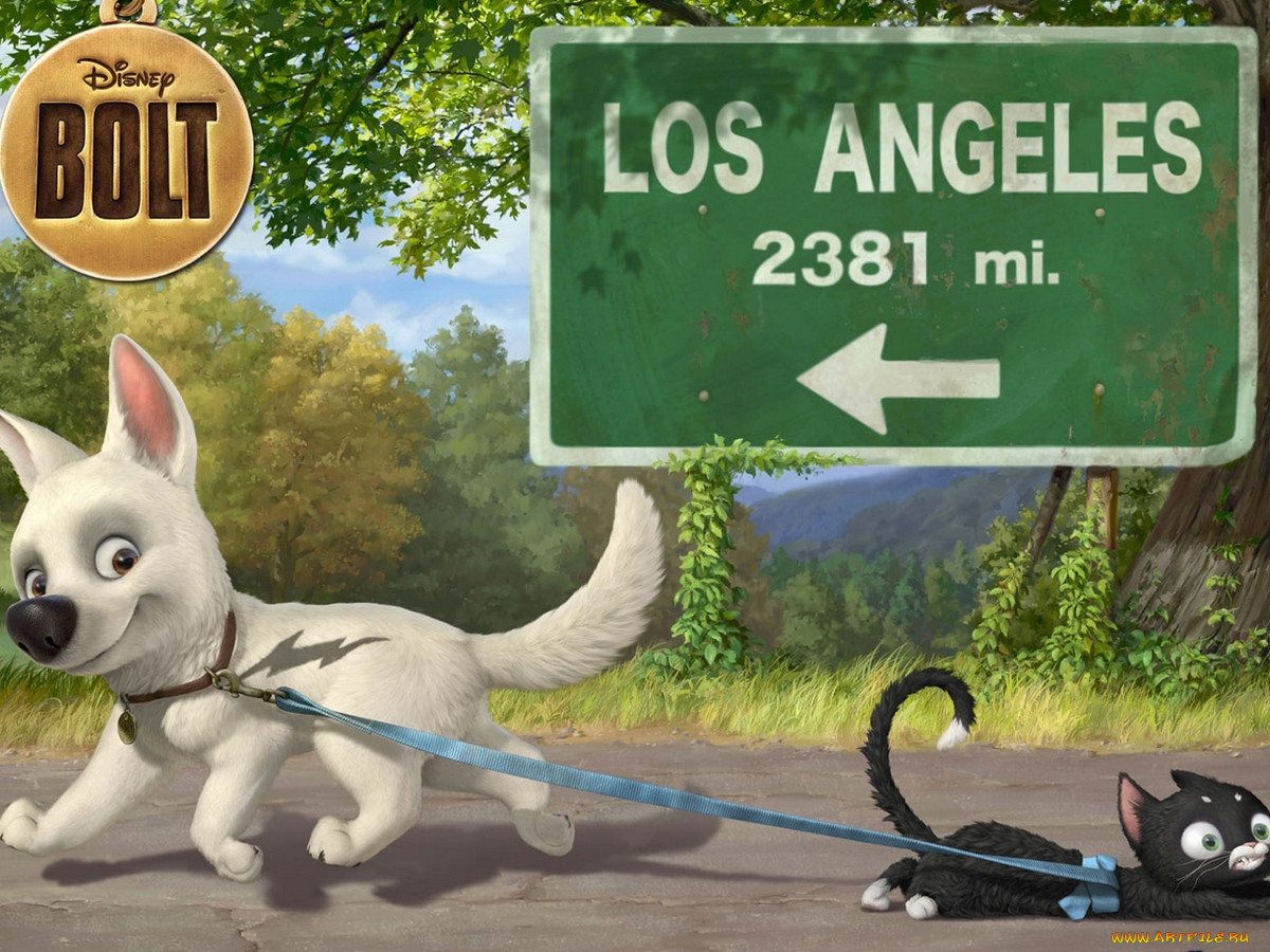 , bolt